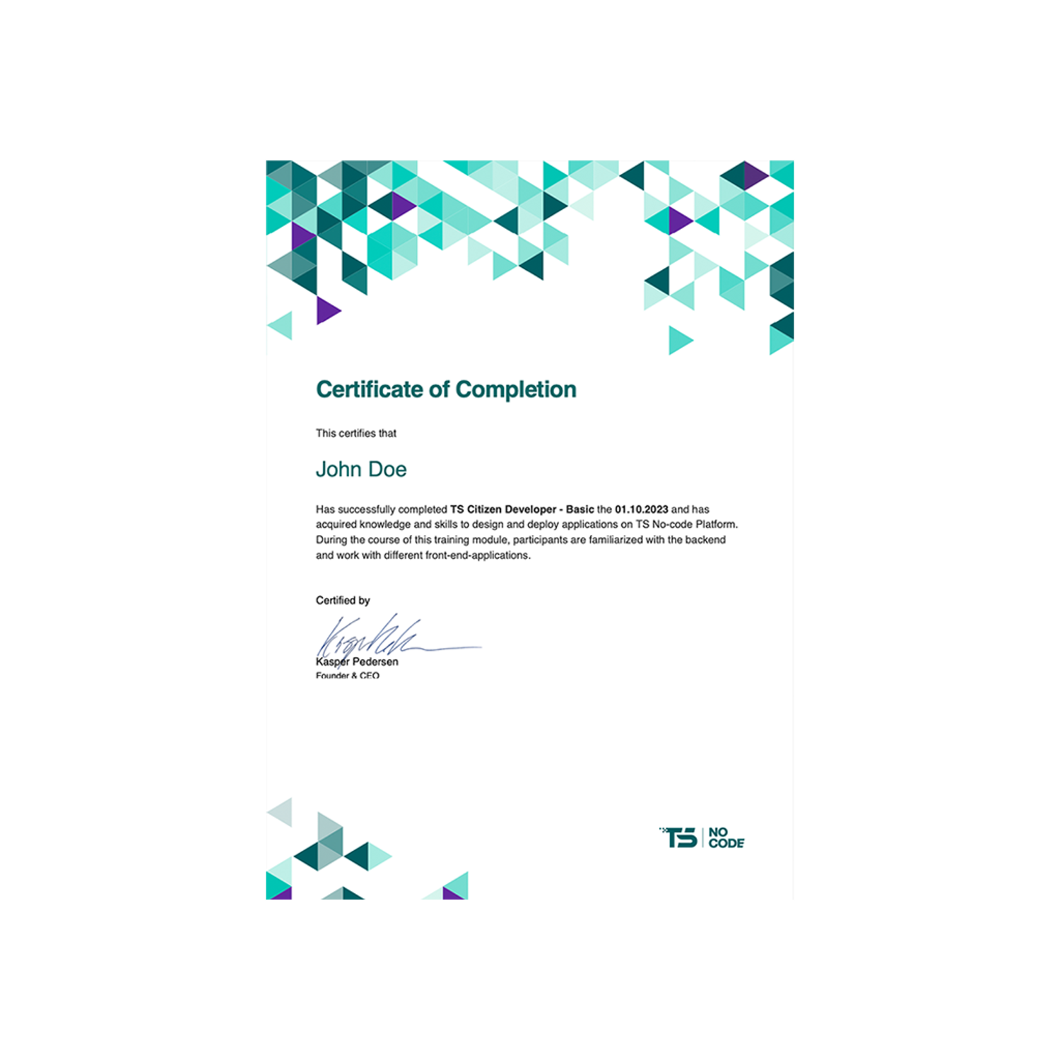 TS Citizen Developer Certificate