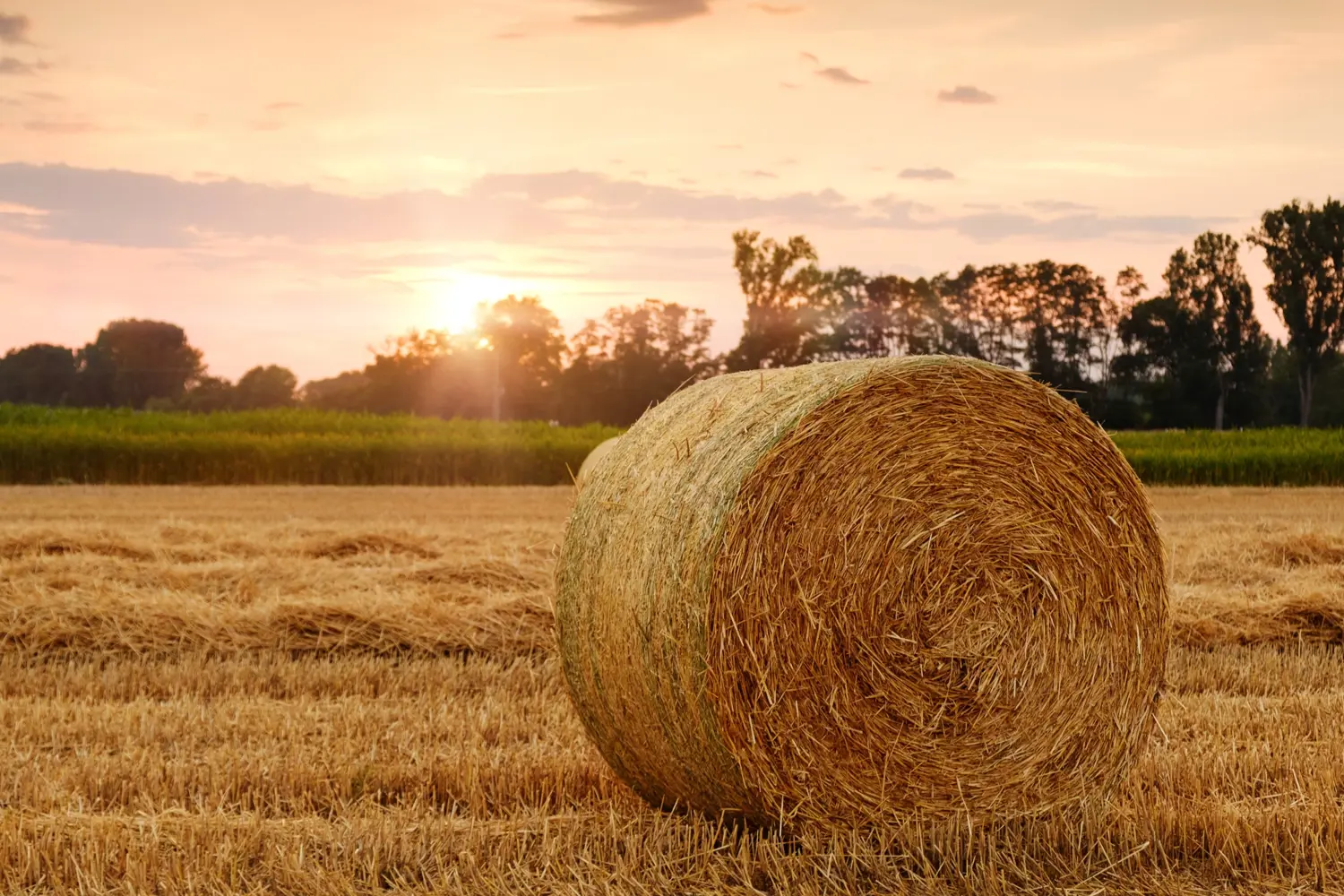 Straw bale