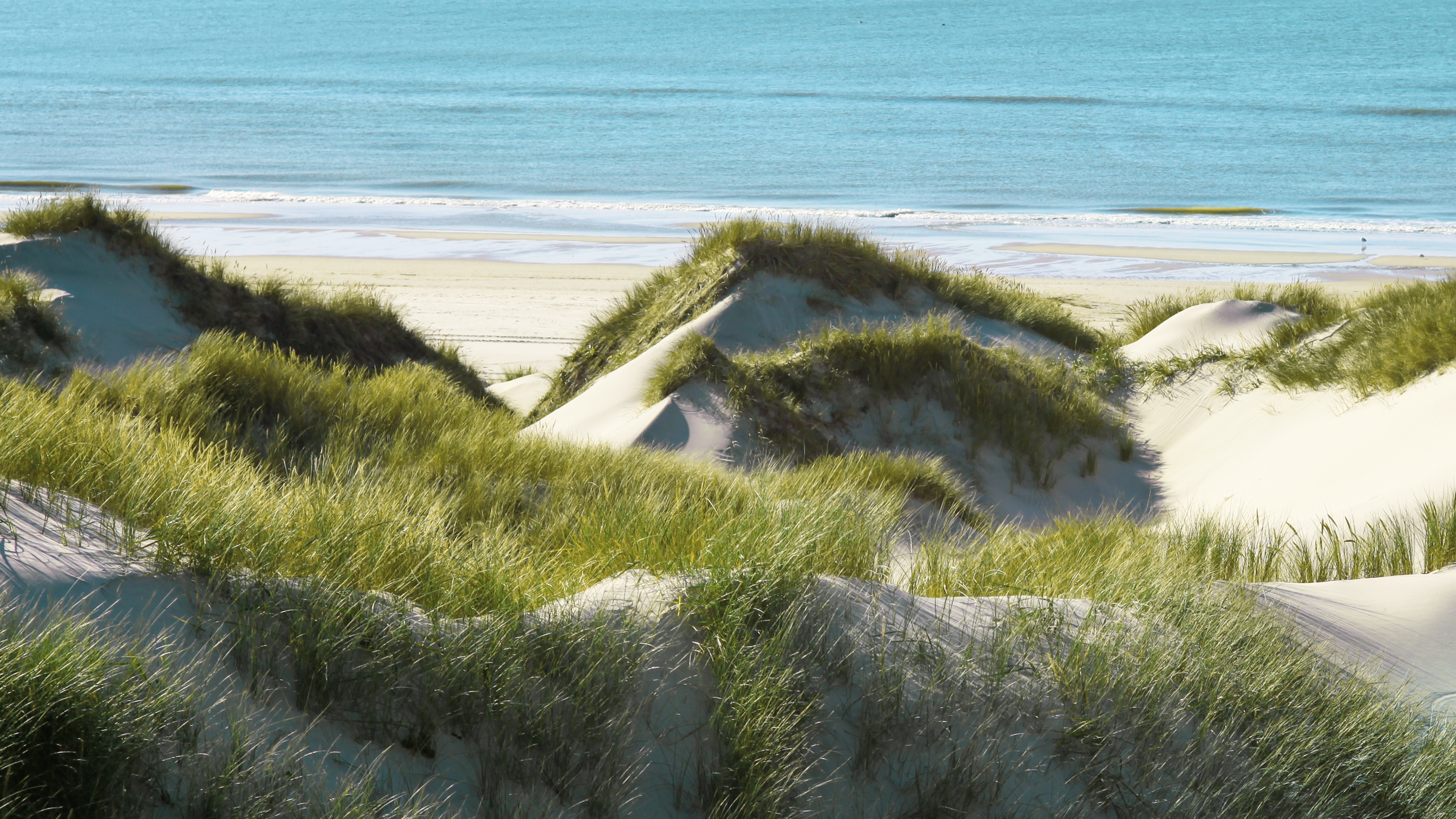 Sand Dunes